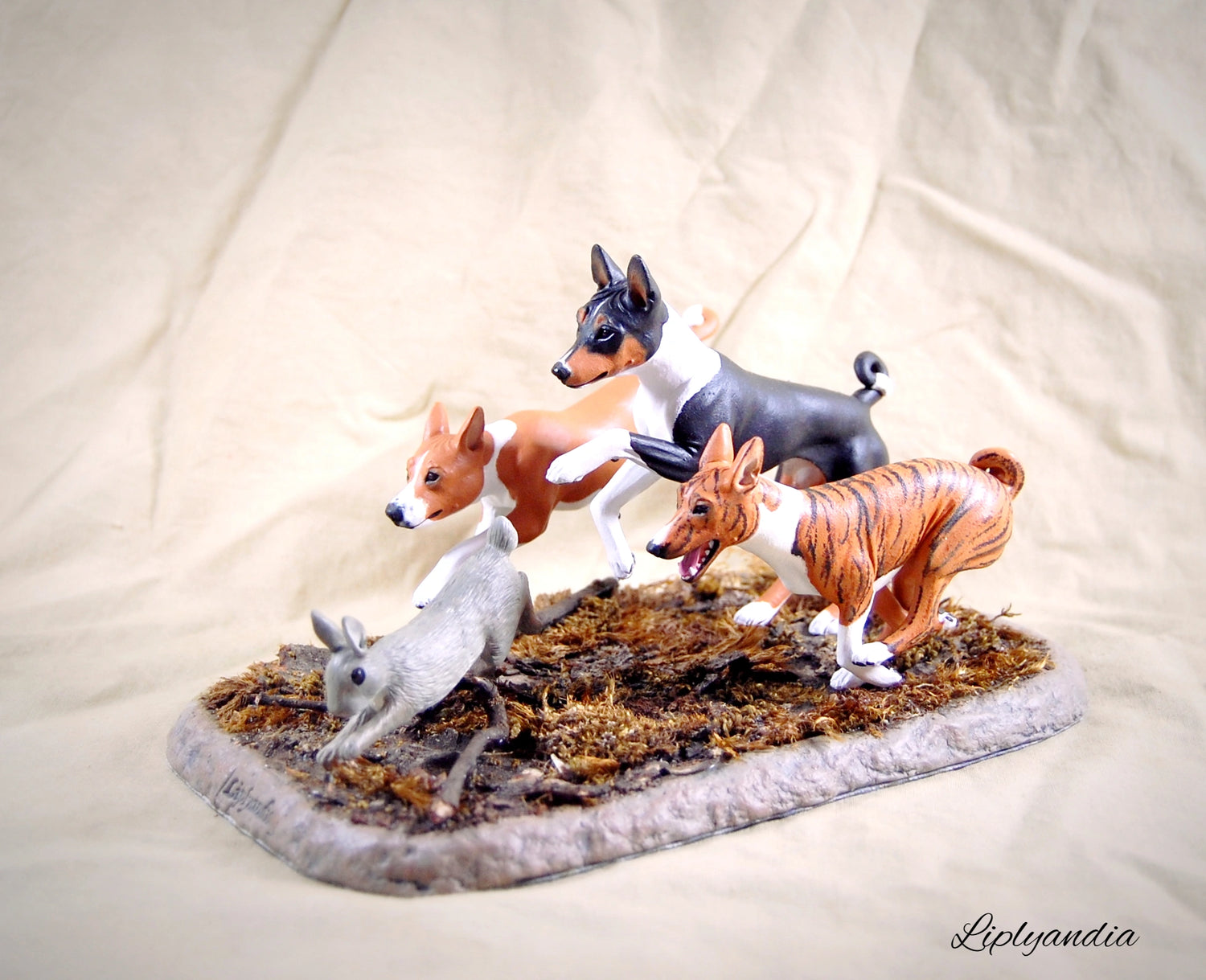 Basenjis chasing a rabbit