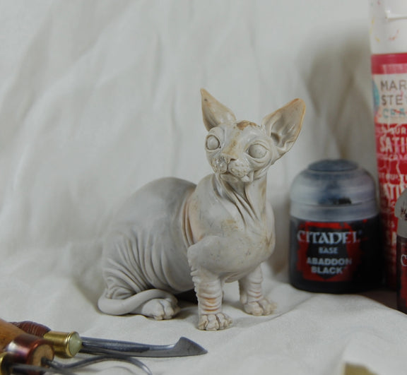 Sphynx Cat