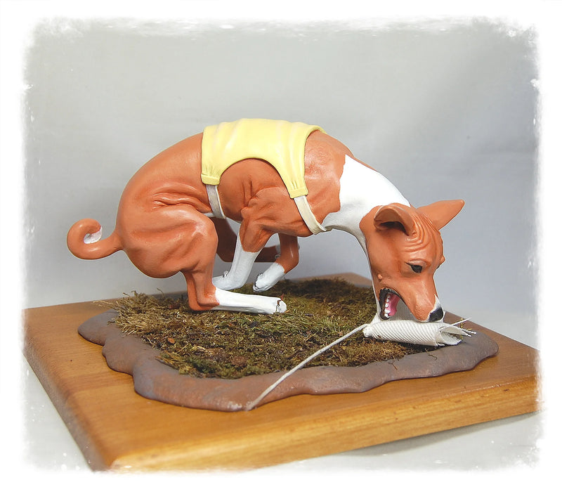 Basenji Coursing
