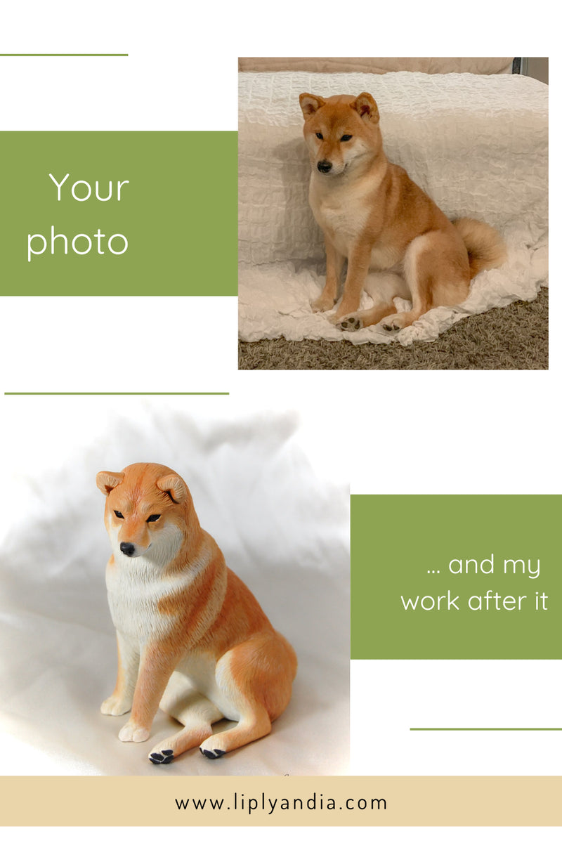 Shiba Inu