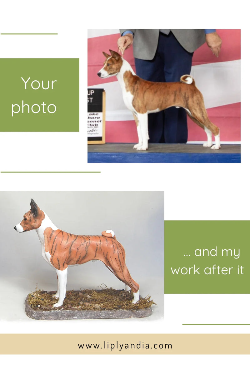 Basenji