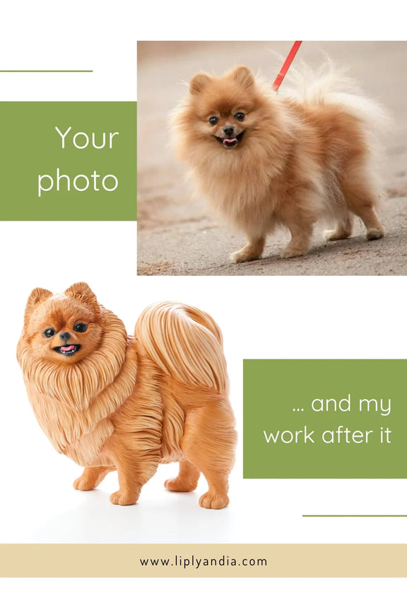 Pomeranian