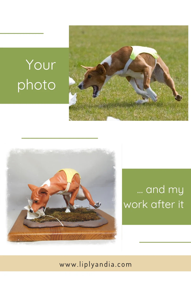 Basenji Coursing