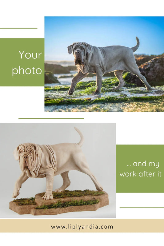 Neapolitan Mastiff