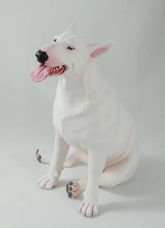 Bullterrier