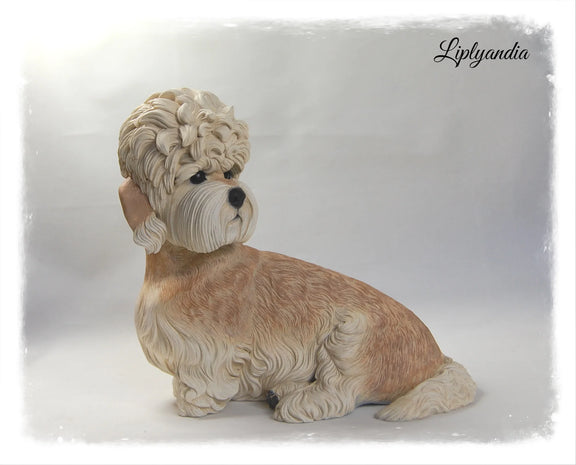 Dandie Dinmont Terrier