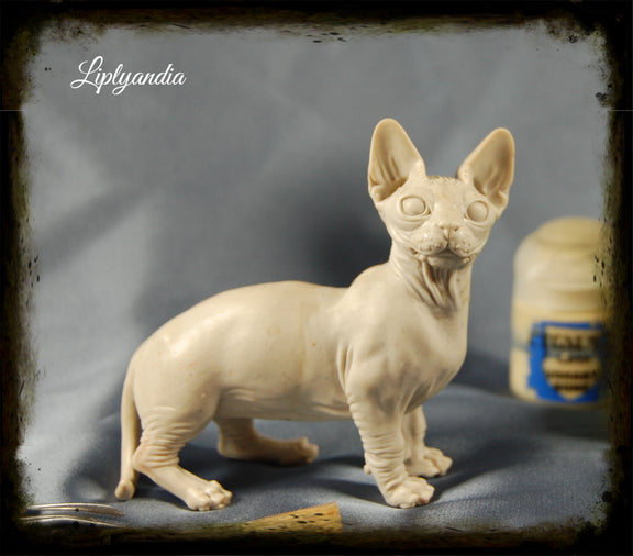 Sphynx Cat