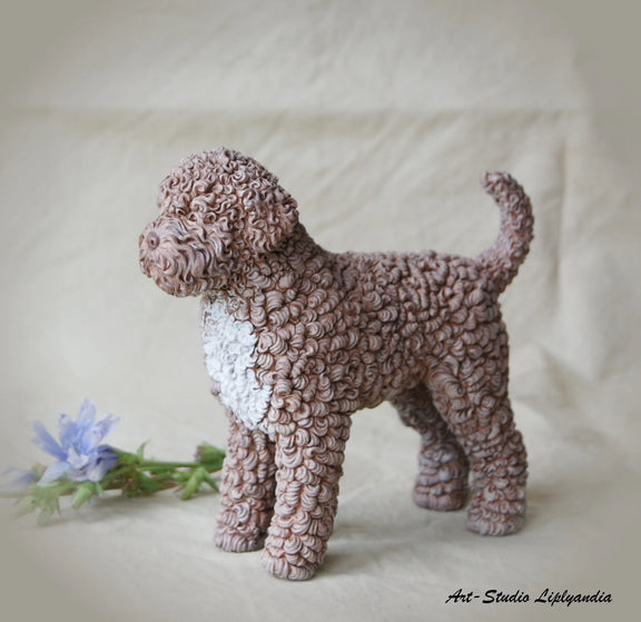 Lagotto Romagnolo