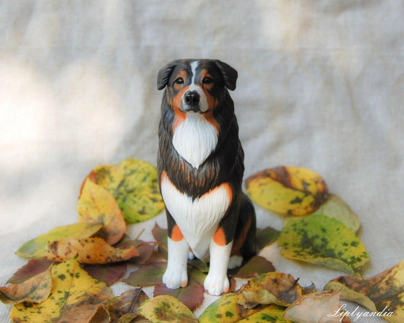 Aussie (Australian Shepherd)