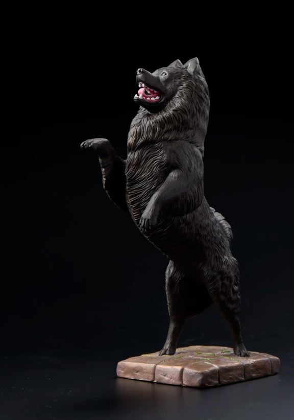 Schipperke