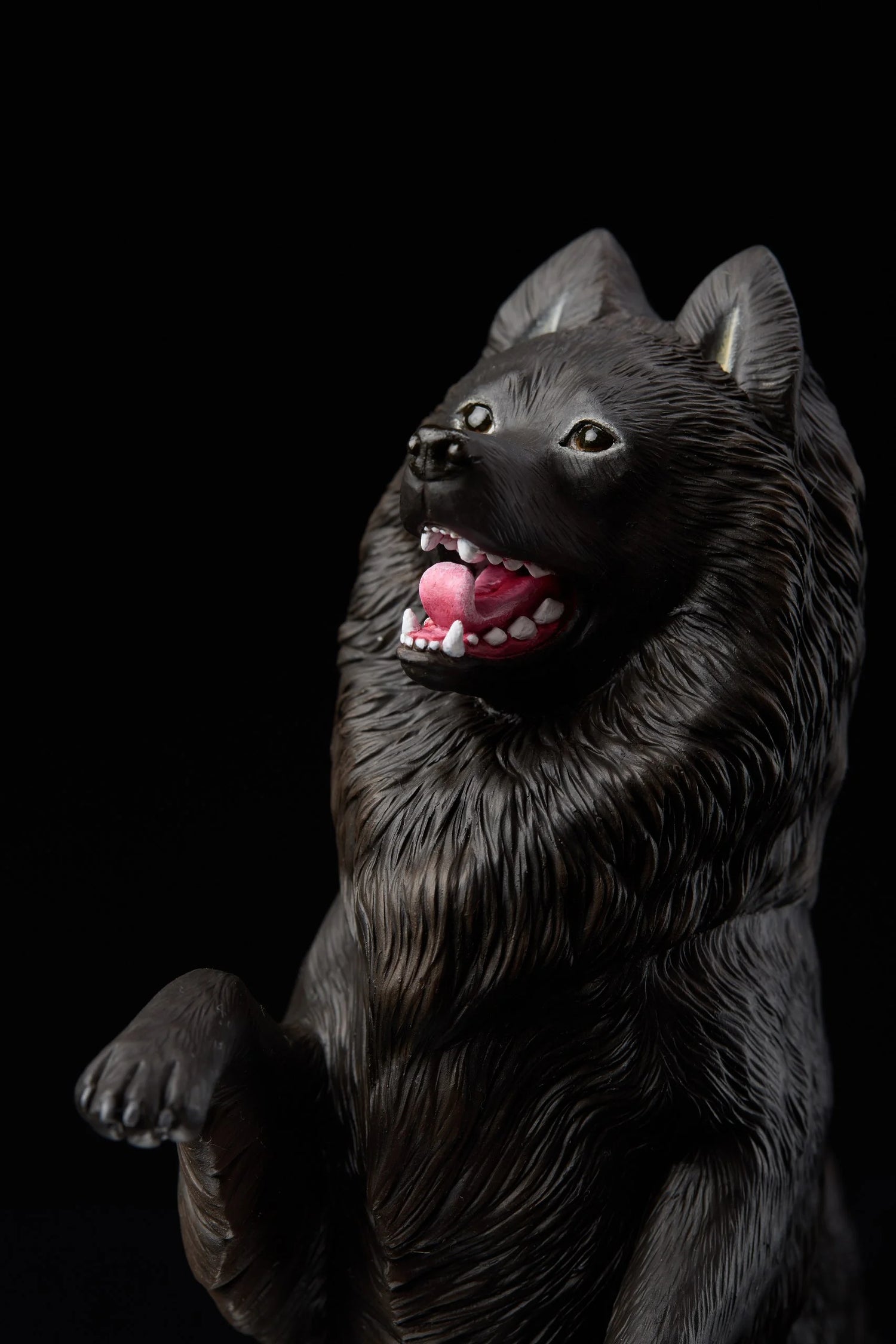 Schipperke