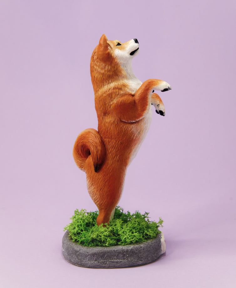 Shiba Inu