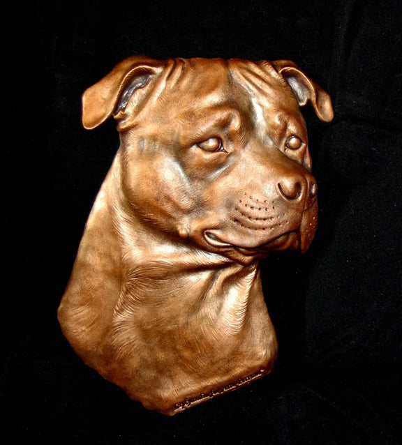 American Staffordshire terrier head relief